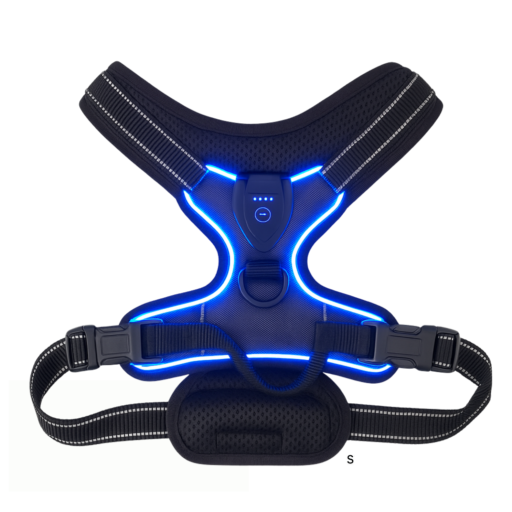 PawGuard LED Glow Harness