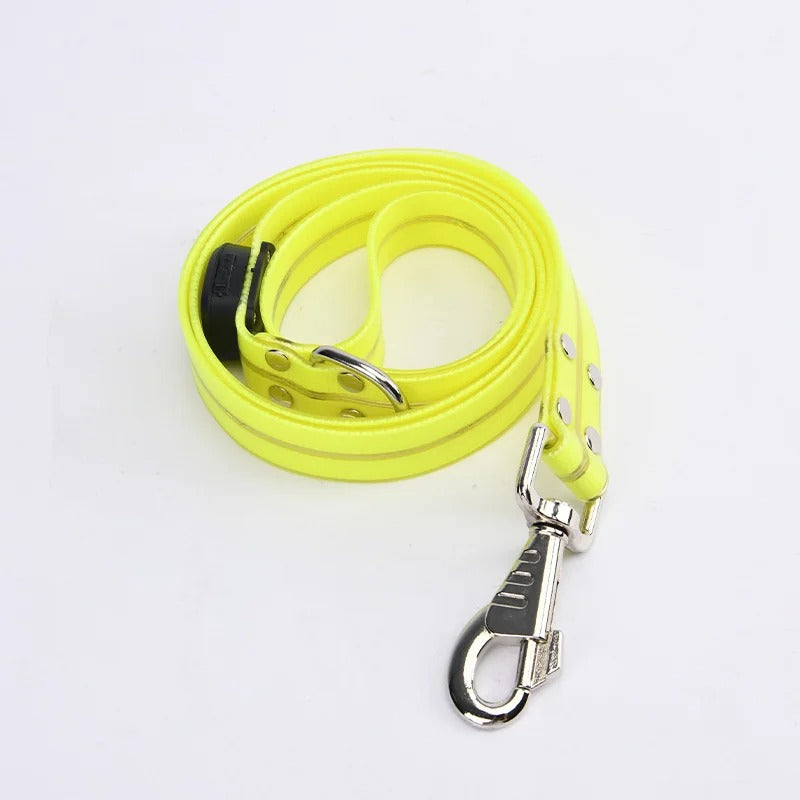 PawGuard LED Safety Leash
