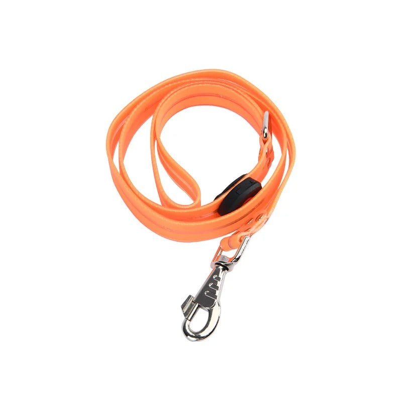 PawGuard LED Safety Leash