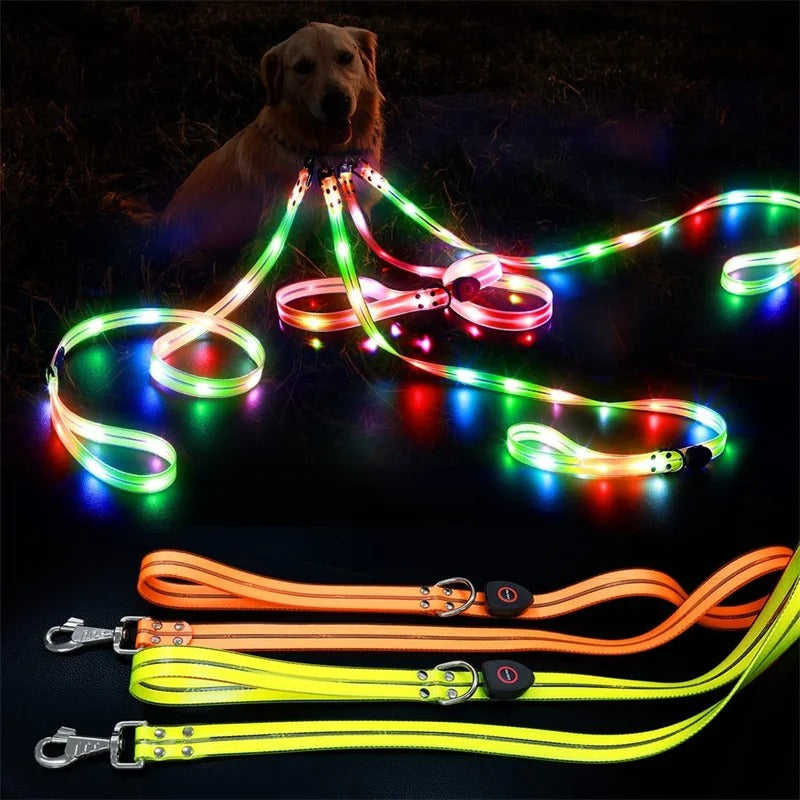 PawGuard LED Safety Leash