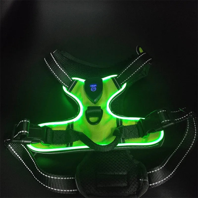 Green LED dog harness on a black background