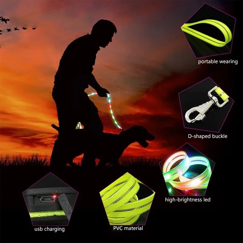 PawGuard LED Safety Leash